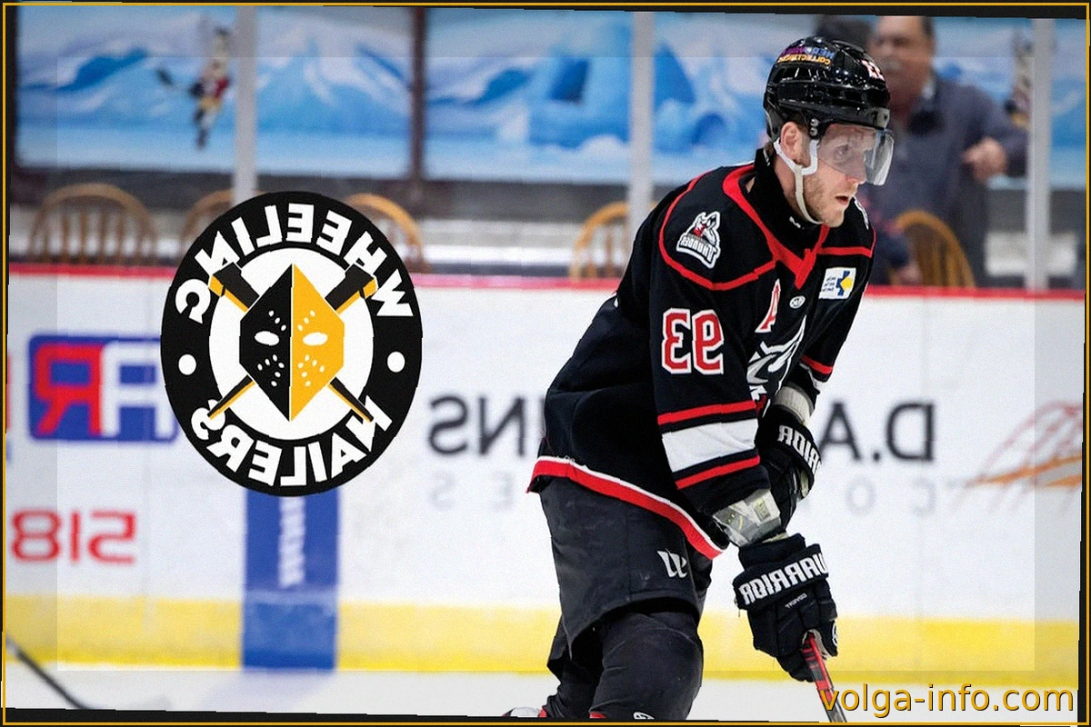 Джастин Тейлор заключил контракт с Wheeling Nailers