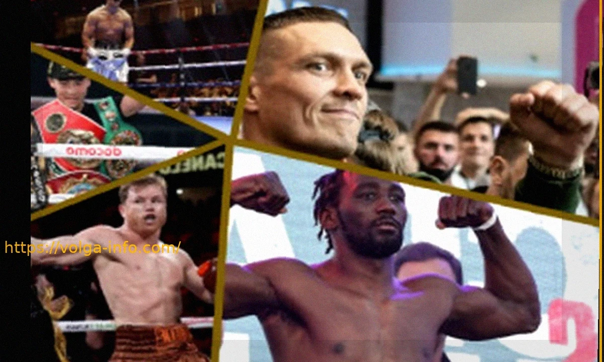 Действующие чемпионы мира по боксу