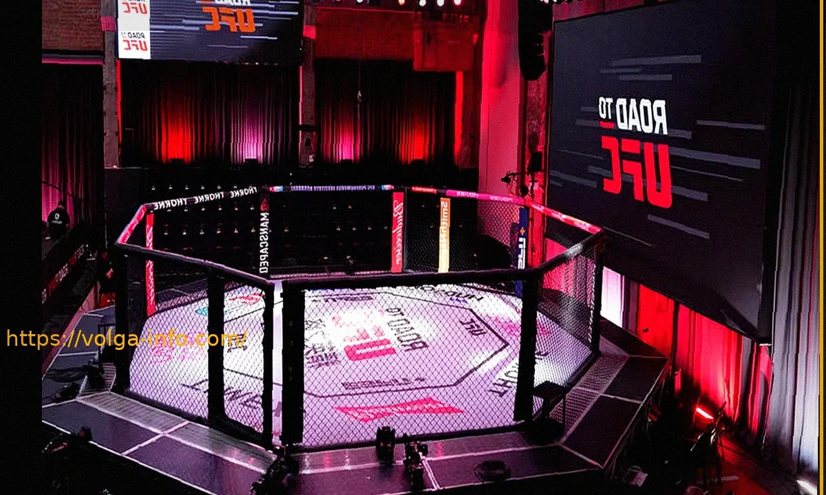 Road To UFC: Сезон 5, Второй день первого раунда – Полные результаты и лучшие моменты